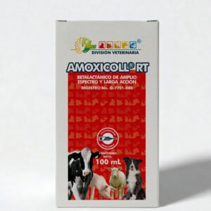 AMOXICOLL RT